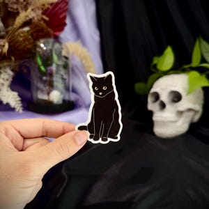 Black Cat Sticker, Cute Cat Sticker, Cat Lover, Cat Lady, Vinyl Sticker, Laptop Sticker, Waterproof Sticker, Cute Stickers, Crazy Cat Lady