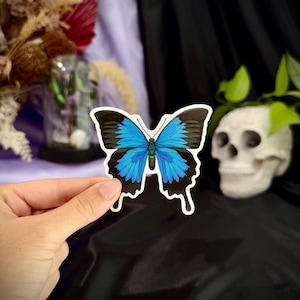 Adesivo de borboleta azul, borboleta Ulisses, adesivos de insetos, adesivos à prova d'água, decalque para laptop, borboleta fofa, decalque de borboleta