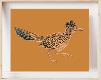 Roadrunner Art Print, Roadrunner Home Decor, Painted Bird Art, Painted Roadrunner, Road runner Wall, Bird Illustration, Desert Animal Art