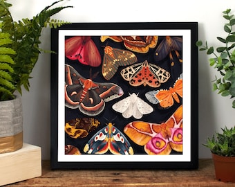 Painted Moth Art Print, Moth Home Decor, Moth Wall Art, Atlas Moth Painting, Saturn Moth Wall Art, Dark Academia Art, Insect Illustration