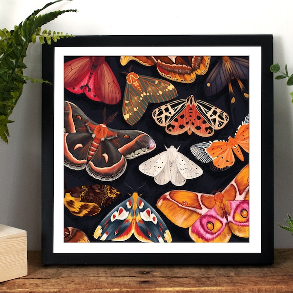Painted Moth Art Print, Moth Home Decor, Moth Wall Art, Atlas Moth ...