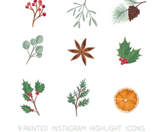 Winter Foliage Instagram Story Covers, Christmas Highlight Covers, Winter Social media Icons, Christmas Icons, Social media branding, Holly