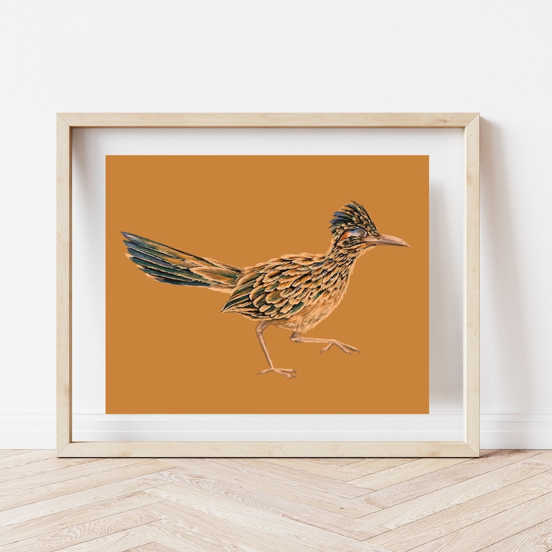 May include: A framed print of a roadrunner bird with brown and black feathers, standing on a brown background.