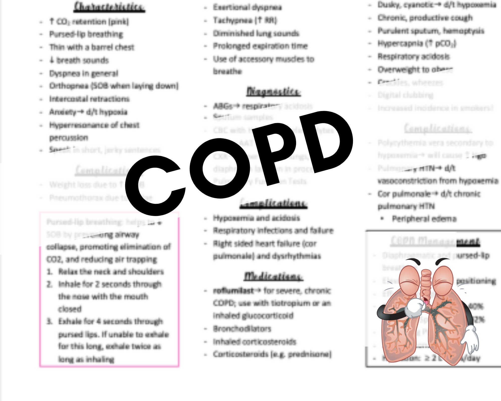 THE EFFECT OF FORWARD LEAN POSITION AND PURSED LIP BREATHING ON PEAK  EXPIRATORY FLOW IN ACTIVE SMOKER | Semantic Scholar