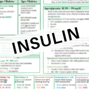 Insulin Nursing Notes - Nursing Fundamentals and Med Surg - Insulin Diabetes Notes - Everything about Insulin on one page *See item details*