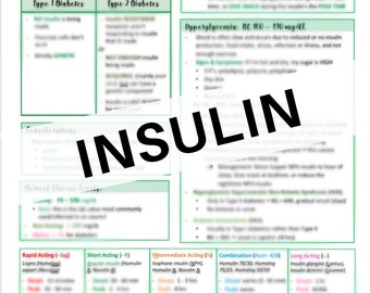 Insulin Nursing Notes - Nursing Fundamentals and Med Surg - Insulin Diabetes Notes - Everything about Insulin on one page *See item details*