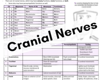 Cranial Nerves Nursing Cheat Sheet/ Nerve, Function(s), and Tests Used for Them / Health Assessment / Medical Surgical Nursing