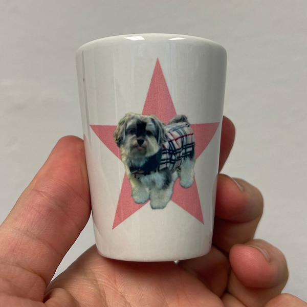 Funny Shot Glasses Etsy
