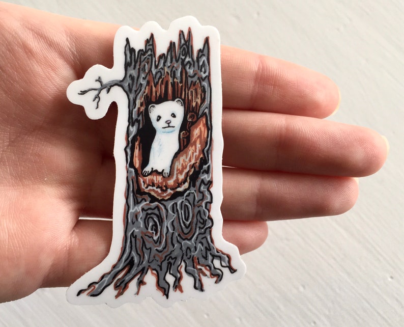 Stoat in a Stump Sticker  3 Inch Cute White Weasel/Ermine image 1
