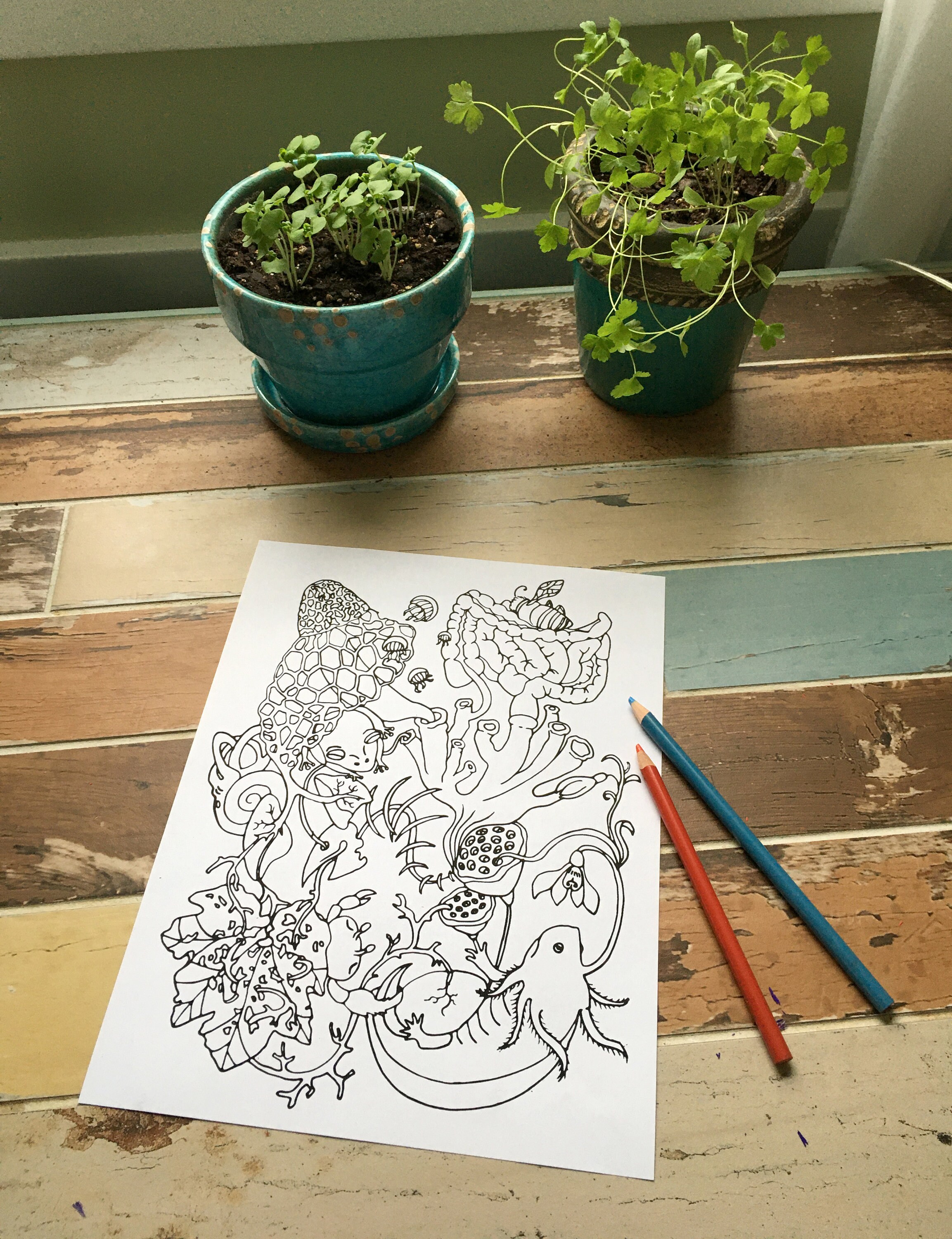 Flora & Fauna Printable Coloring Page Animal/Plant Cluster | Etsy