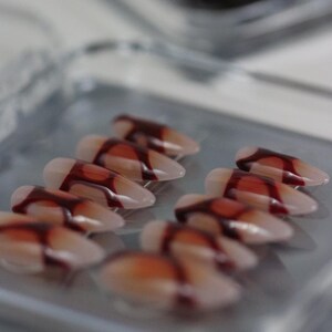 Peut inclure: Une s&eacute;rie de faux ongles en forme d'amande avec une base translucide et un motif de sang d&eacute;goulinant rouge fonc&eacute;. Les ongles sont dispos&eacute;s en rang&eacute;es sur un plateau rectangulaire transparent, cr&eacute;ant une esth&eacute;tique effrayante sur le th&egrave;me d'Halloween.