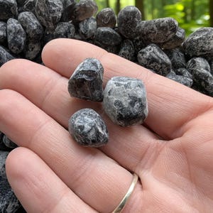 Peut inclure: Gros plan sur plusieurs pierres roulées gris foncé, dont quelques-unes sont tenues dans une main. Les pierres ont une forme lisse et arrondie et un aspect moucheté. L'arrière-plan est flou, montrant une forêt verte.