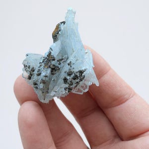 Può includere: Un gruppo di formazioni cristalline azzurre con inclusioni grigio scuro e marroni. I cristalli hanno un aspetto a strati e sono tenuti in mano su uno sfondo bianco. Il campione minerale ha una forma naturale e organica.