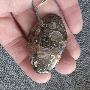 Könnte beinhalten: Ein polierter, oval geformter Steinanhänger mit dunkelbrauner Grundfarbe und helleren, kreisförmigen Mustern. Der Stein hat eine glänzende Oberfläche und wird von einem Silberring gehalten. Ein natürliches, erdiges Accessoire.
