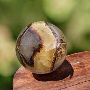 Peut inclure: Une sphère polie en pierre de Septaria, présentant un mélange de teintes marron, beige et grise. L'orbite repose sur une surface en bois, avec un arrière-plan vert flou. La surface de la pierre présente un motif craquelé en forme de toile.