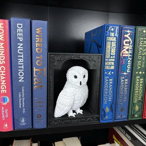 Owl Book Nook Bookend Booktok | Bookshelf Insert Bookish Decor | Unique 3D Printed Gift