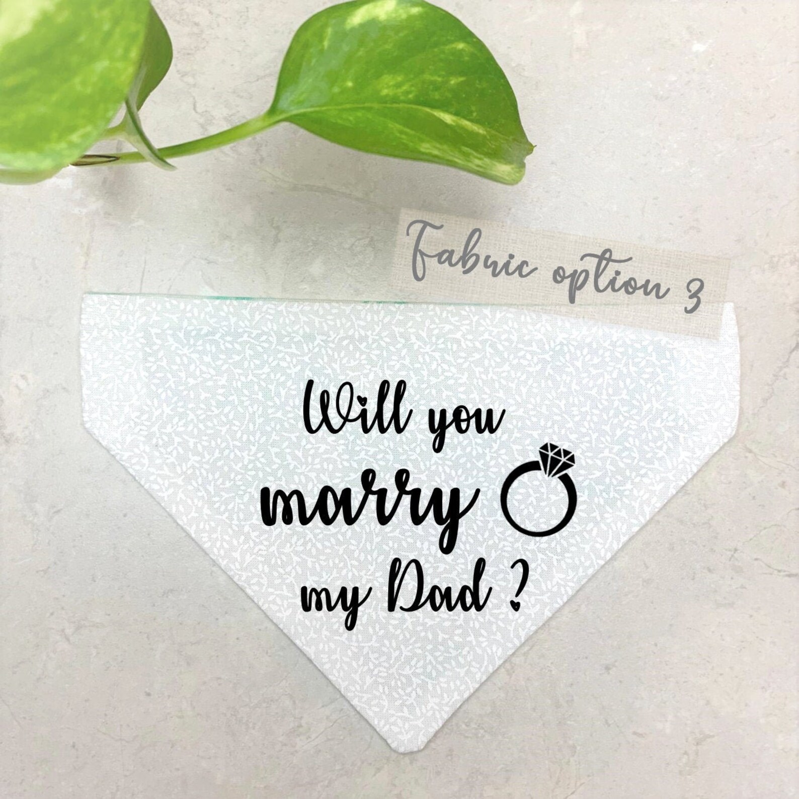 21 Cutest Dog Bandanas for Australian Dogs (Because Naked Necks Are Out)