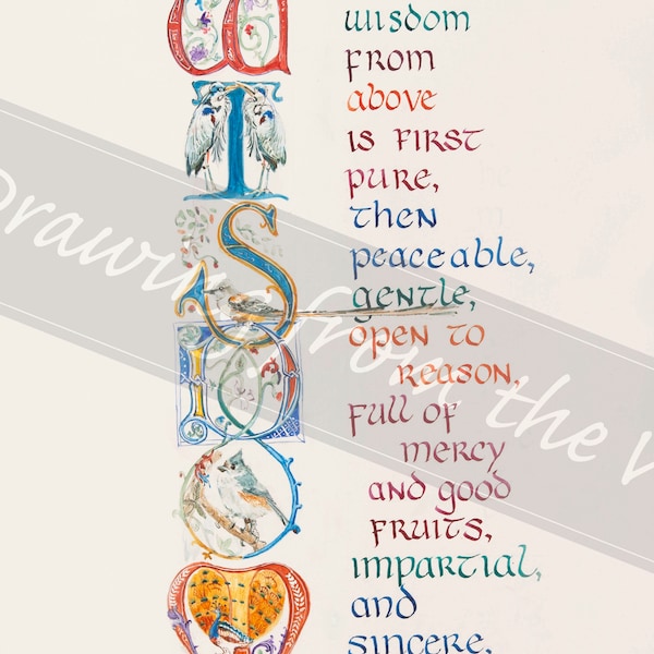 WISDOM James 3:17 Watercolor in the style of Medieval Manuscript Art. 6 elaborately illustrated Upper Case Initials; Floral and exotic birds