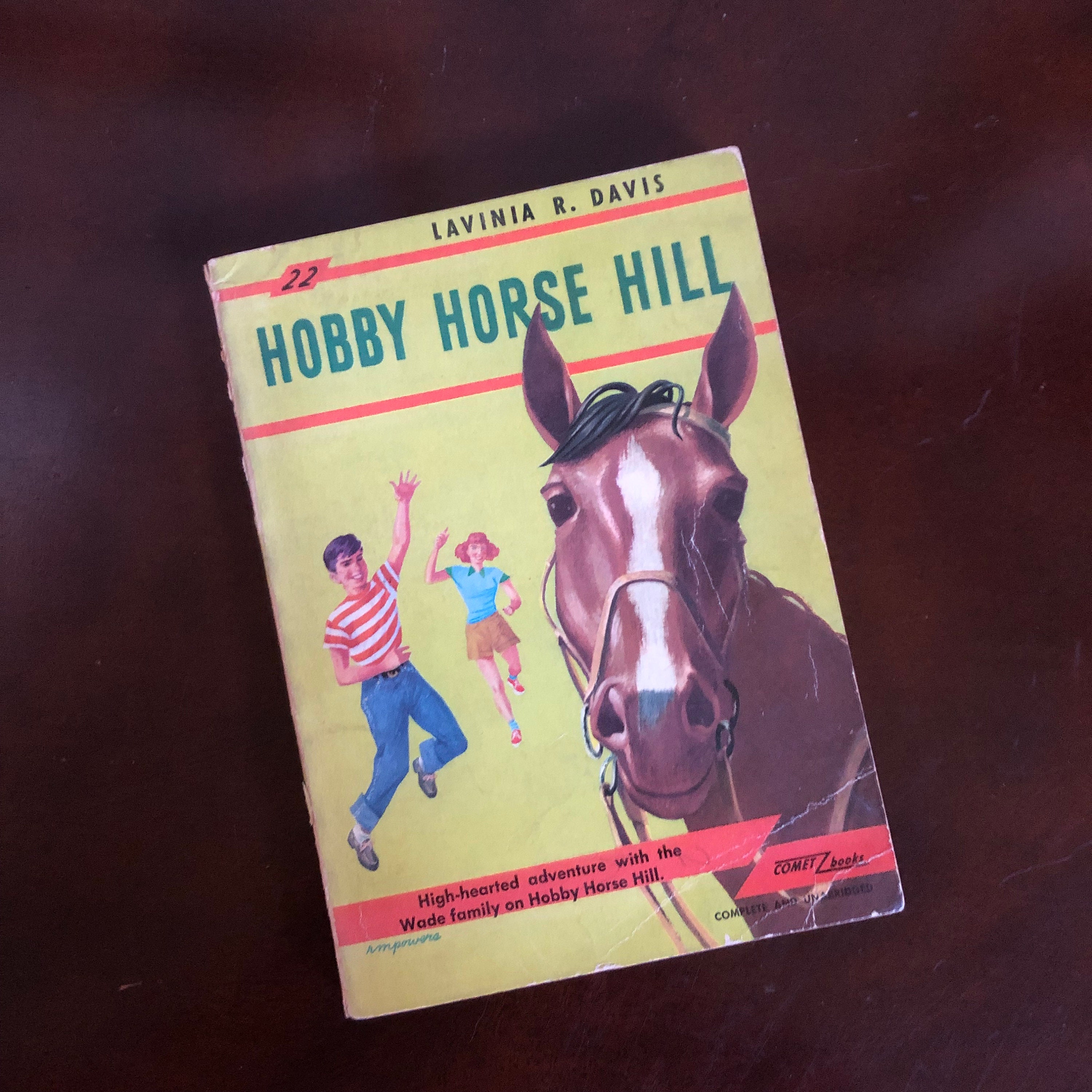 Hobby Horse Hill by Lavinia R. Davis Vintage Paperback Book - Etsy