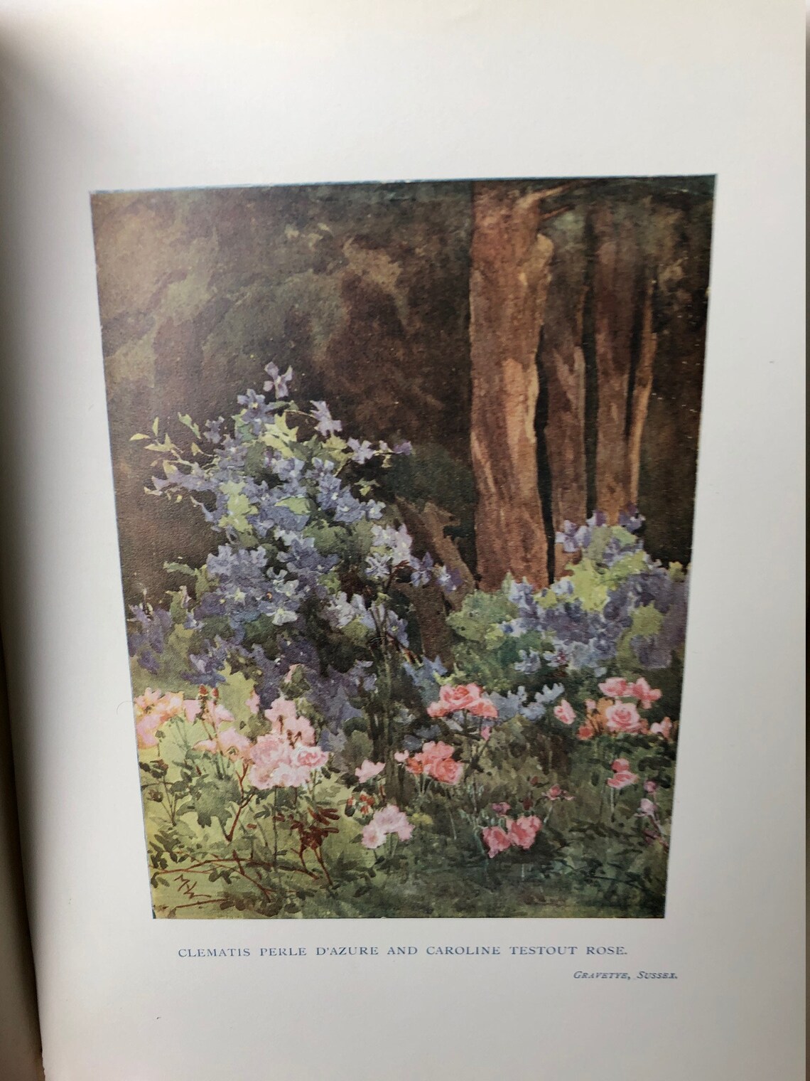 Garden Colour Illustrated by Margaret Waterfield Vintage Book - Etsy