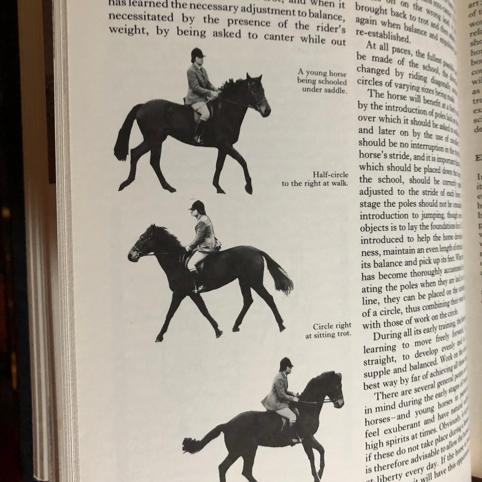The Complete Book of the Horse Vintage Hardback Etsy The Complete Book of the Horse Vintage Hardback Etsy