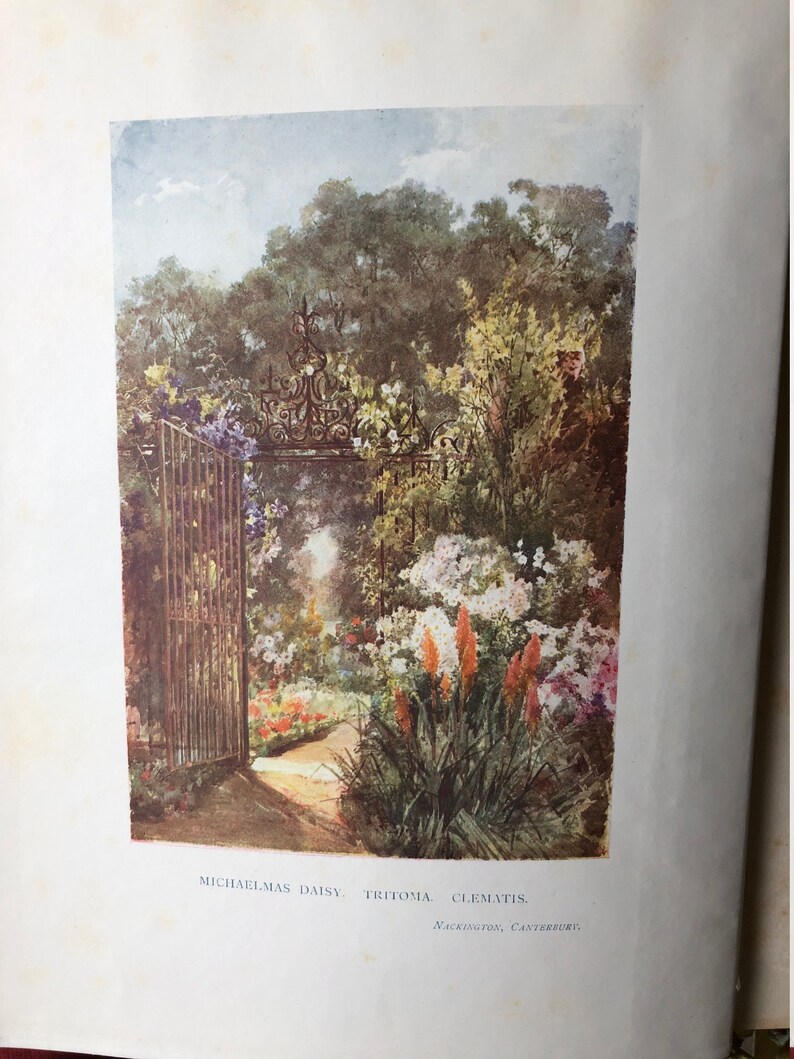 Garden Colour Illustrated by Margaret Waterfield Vintage Book - Etsy