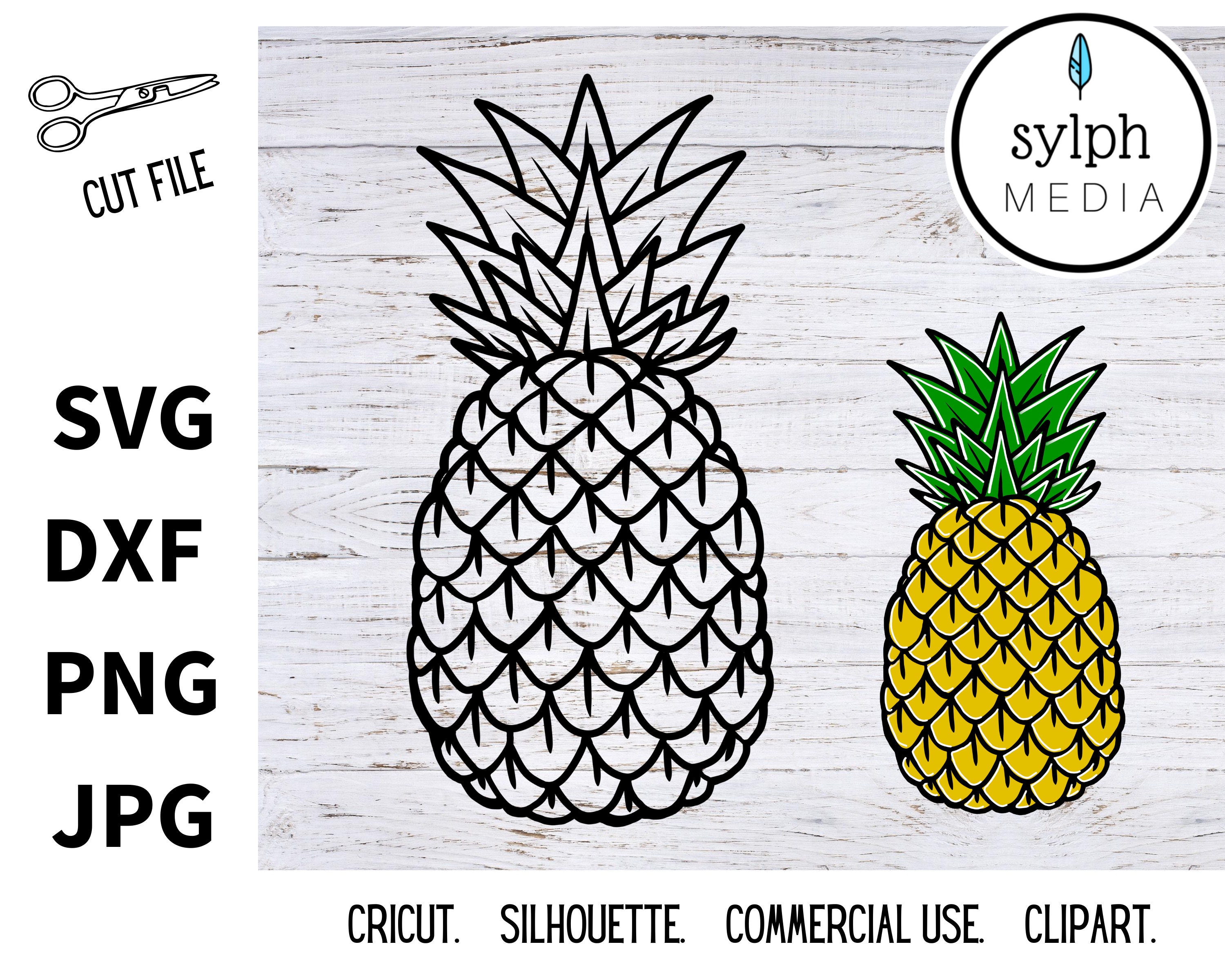 Piña svg, piña, svg, svg diseños, svg archivos para cricut, descarga ...