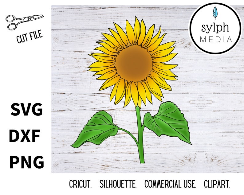Download Sunflower svg bundle sunflower bundle svg svg designs svg ...