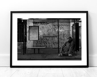 Gorilla Photography Print, Black and White Monkey Wall Poster