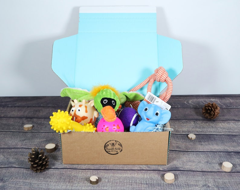 Dog Toys Gift Box Hamper with Squeaky Rope and Plush Birthday Etsy