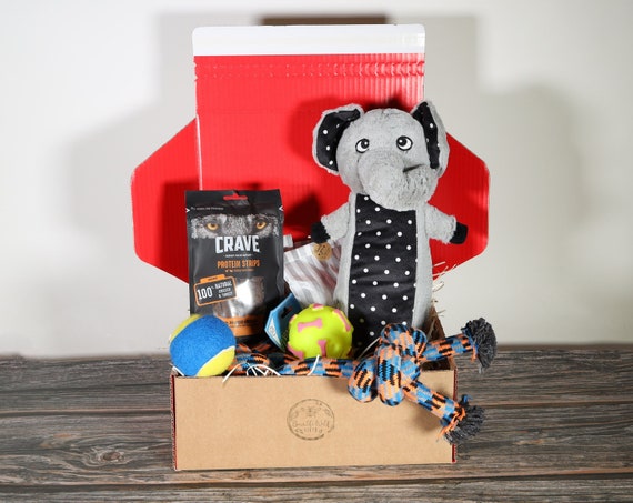 Gift box for new puppy online