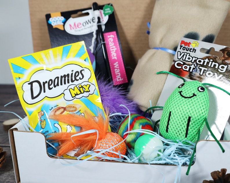 Cat Kitten Comfort Gift Box Hamper Cat Treats Cat Toys Etsy UK