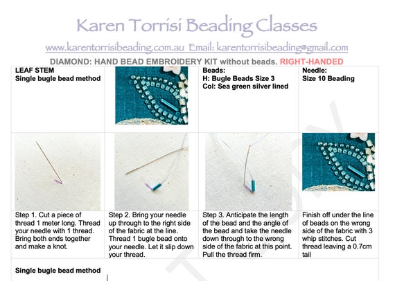 Tambour Beading Kit, Pattern & Instructions only, Right Handed without  beads : Bird of Paradise Bead Embroidery