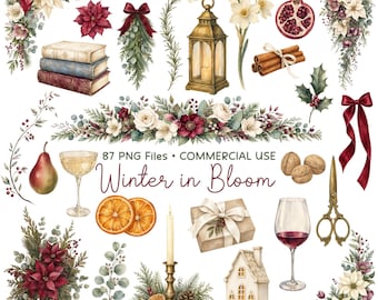 Winter Floral Clipart, Christmas Botanical PNG, Poinsettia Watercolor, Holiday Wedding Graphics, Commercial Use
