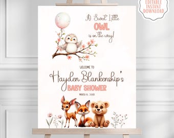 Peut inclure: Une affiche de baby shower avec un hibou, un ballon et des motifs floraux. L'affiche indique "A Sweet Little Owl is on the way!" et souhaite la bienvenue à la baby shower de Hayden Blankenship. Disponible en 40,6x50,8 cm et 61x91,4 cm.