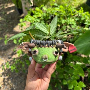 May include: A green Frankenstein-themed ceramic plant pot with a plant inside. The pot features a stitched face, black hair, and brown horns. A red heart-shaped tag with the name "Frankie" is attached.