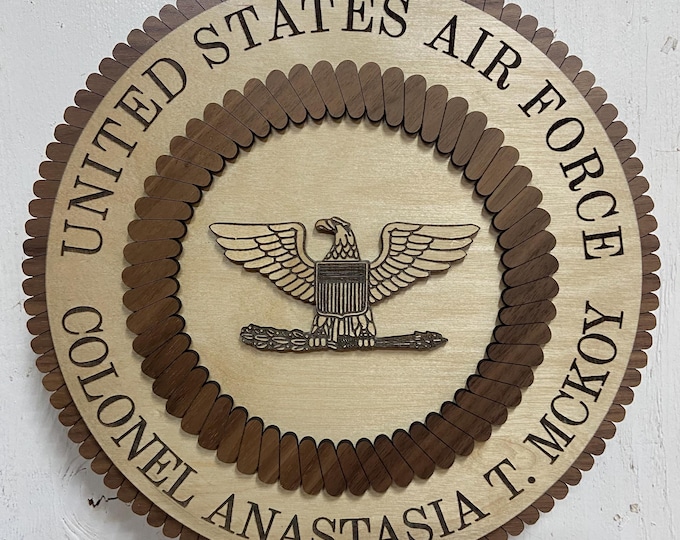 United States COLONEL Promotion Plaque Army Air Force Space Force Wood Sign Customized Appreciation Gift
