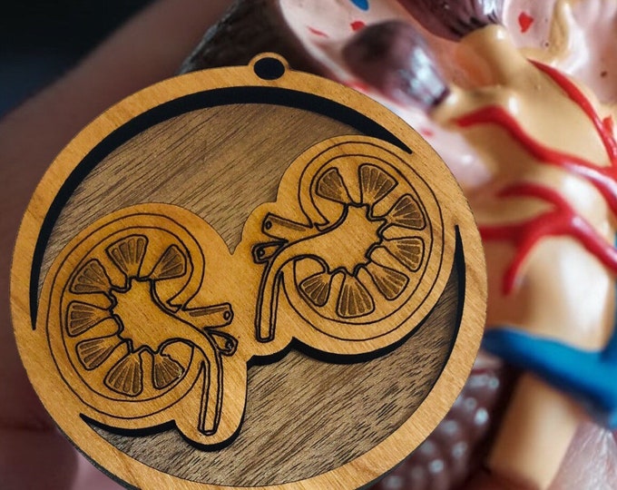 KIDNEY NEPHROLOGY Dialysis Medical Christmas Ornament Nurse Doctor Holiday Gift Transplant Donor