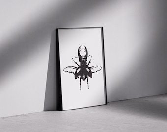Beetle Art Print: Lithograph Style Insect Drawing (Digital Download A3/A4/Postcard Sizes)