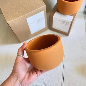 May include: Two terracotta colored concrete planters with the text "Concrete Planters" on the packaging.