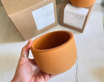 Handmade Concrete Planter Pot: Tulip Style, Indoor Succulent Planter