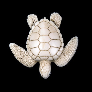 Hand Carved Eco Ivory Sea Turtle Statue