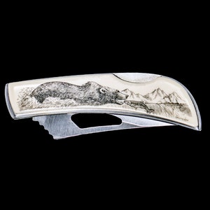 May include: A silver pocket knife with a white handle featuring an engraved image of a bear catching a fish in a mountain landscape.