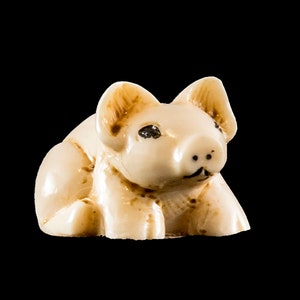 May include: A small, ivory carving of a pig. The pig is lying down with its head turned to the side. It has small, black eyes and a detailed snout.
