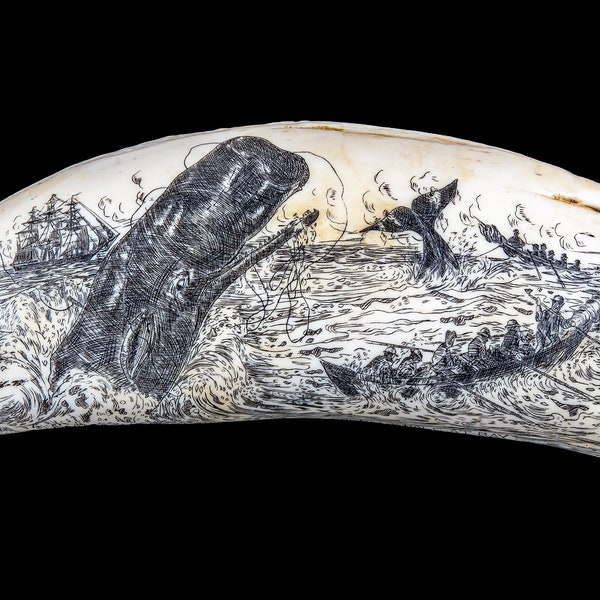 Faux Sperm Whale Tooth Eco "Sperm Whale At Bay" Scrimshaw Tooth.  Eco Ivory, Resin, Replica, Artek