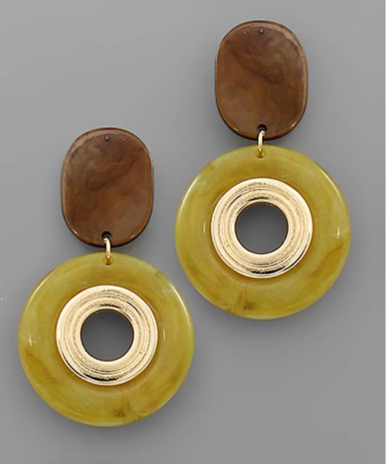 Acrylic oval circle earrings