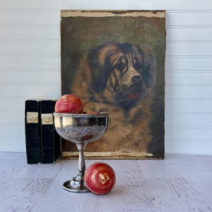 May include: An antique still life featuring a vintage painting of a dog, a silver goblet, two red cricket balls, and three black books. The cricket balls have gold text that reads "HAND MADE FOR ENGLAND". The painting has a brown and tan color palette.