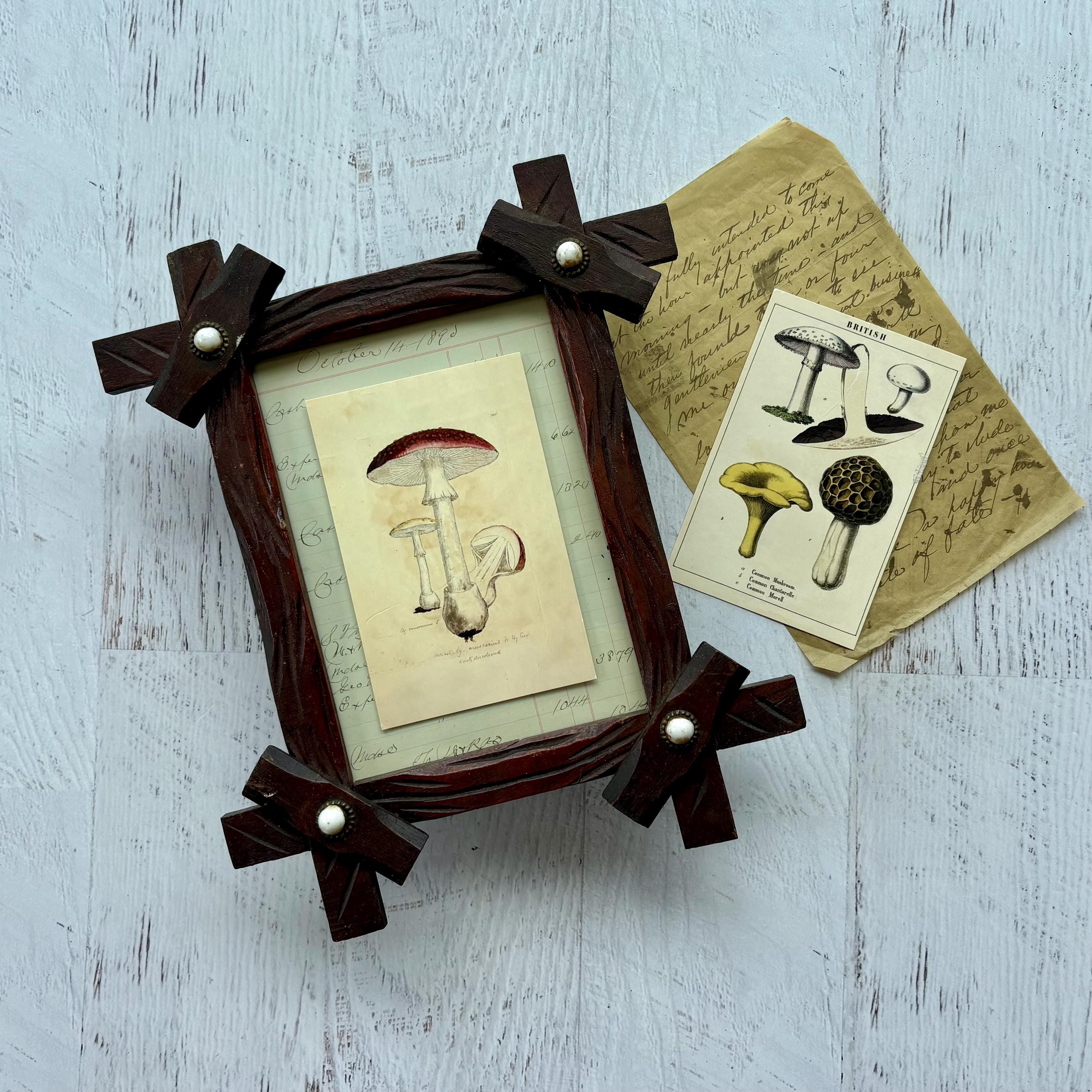 Cadre En Bois Rustique Avec Art Ancien Buttons & Bows - Déco Murale