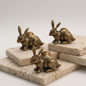 Peut inclure: Trois boutons de meuble en laiton en forme de lapin. Les boutons présentent des détails de fourrure et de longues oreilles. Ils sont exposés sur des blocs de pierre clairs empilés. Les boutons ont un aspect vintage et antique.