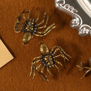 Może przedstawiać: Dwa ozdobne przedmioty w kształcie pająków w kolorze brązu ze skomplikowanymi detalami, umieszczone na brązowej powierzchni. Widoczna jest również srebrna dekoracyjna taca i kawałek papieru. Pająki mają wiele nóg i szczegółowe ciało.